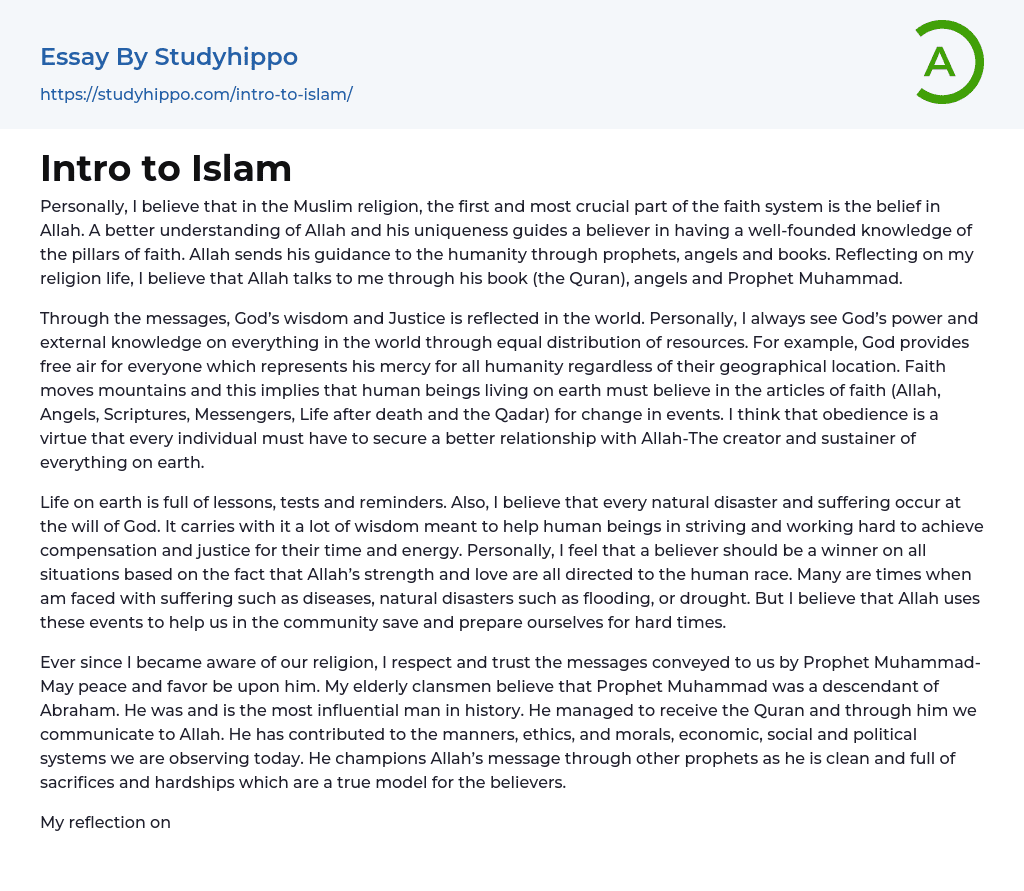 Intro to Islam Essay Example