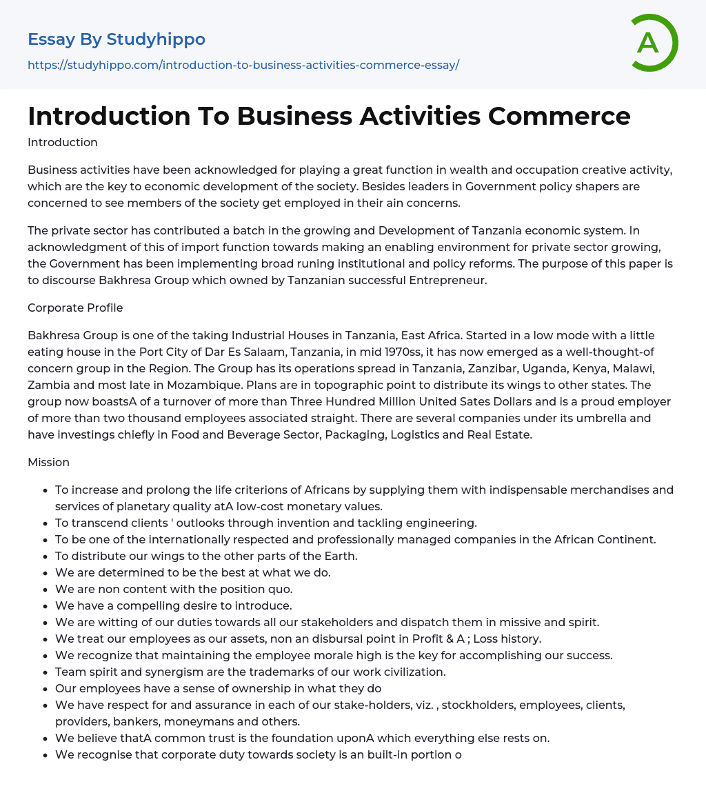 Introduction To Business Activities Commerce Essay Example