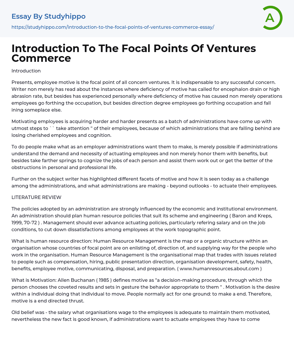 Introduction To The Focal Points Of Ventures Commerce Essay Example