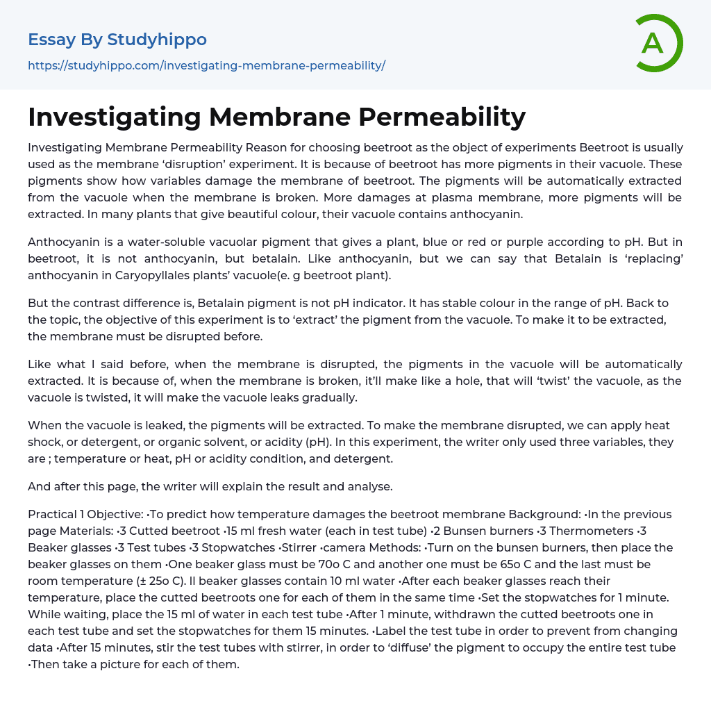 Investigating Membrane Permeability Essay Example