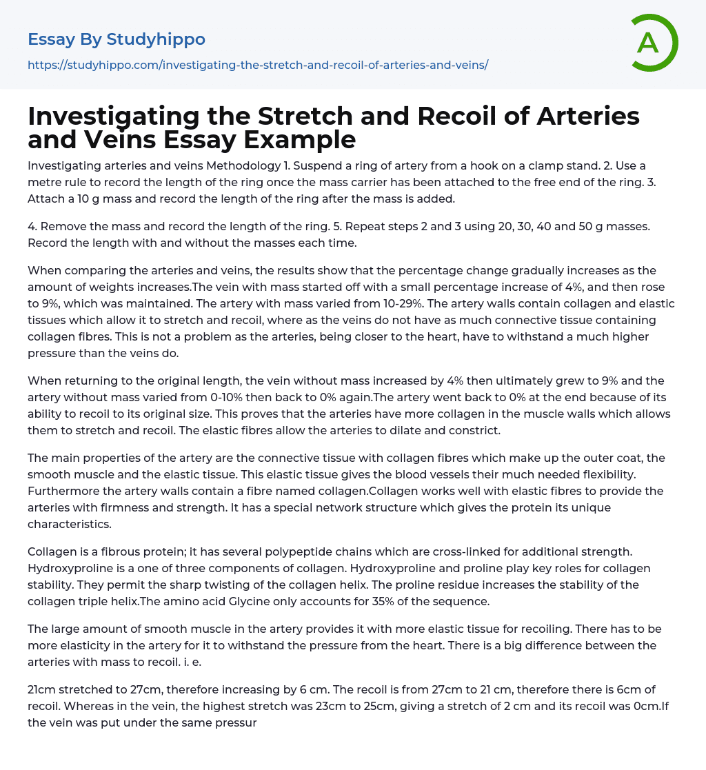 Investigating the Stretch and Recoil of Arteries and Veins Essay Example