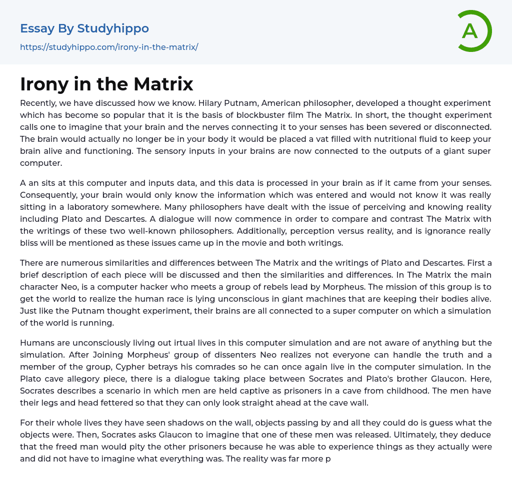Irony in the Matrix Essay Example