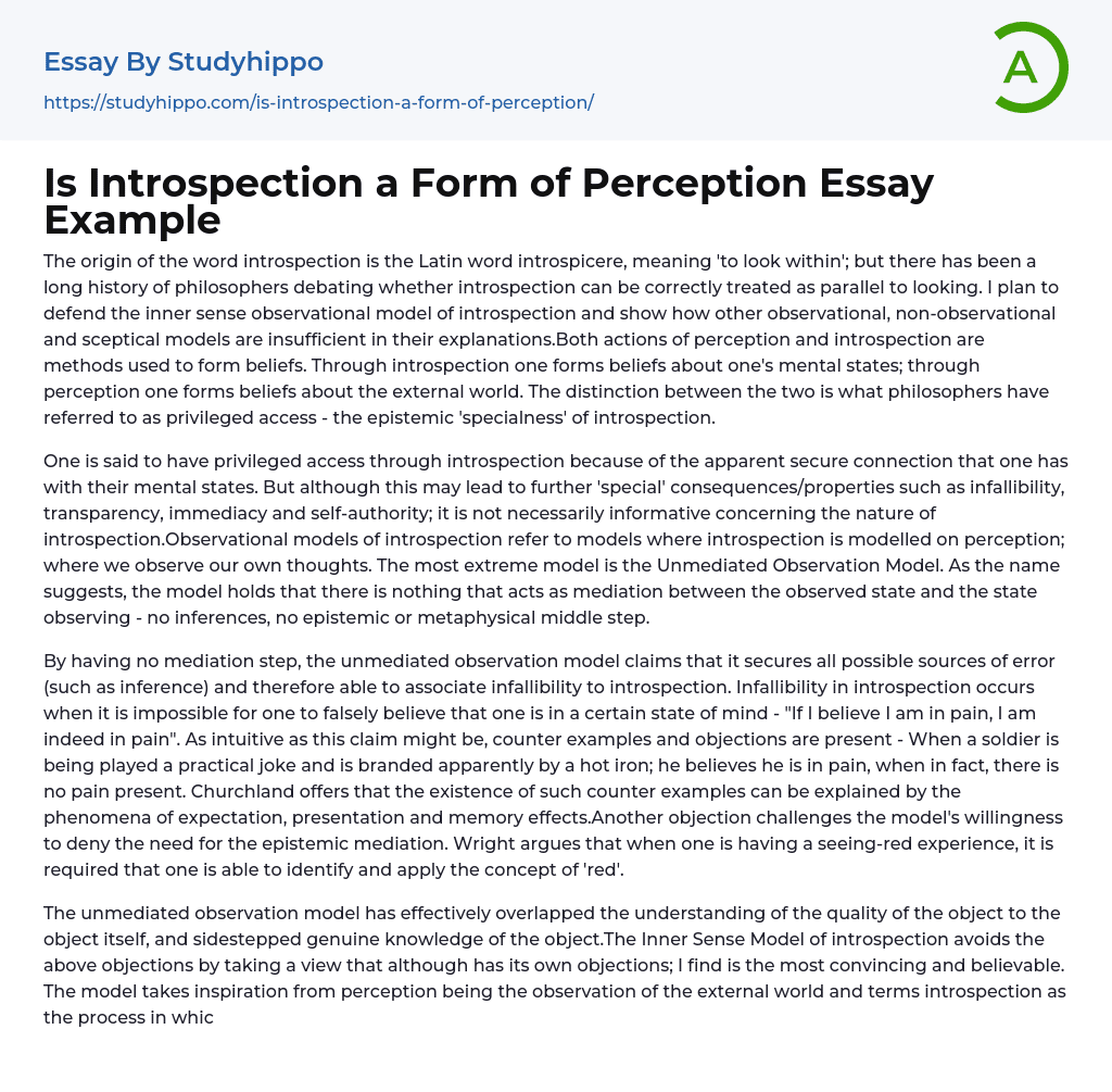 Is Introspection a Form of Perception Essay Example