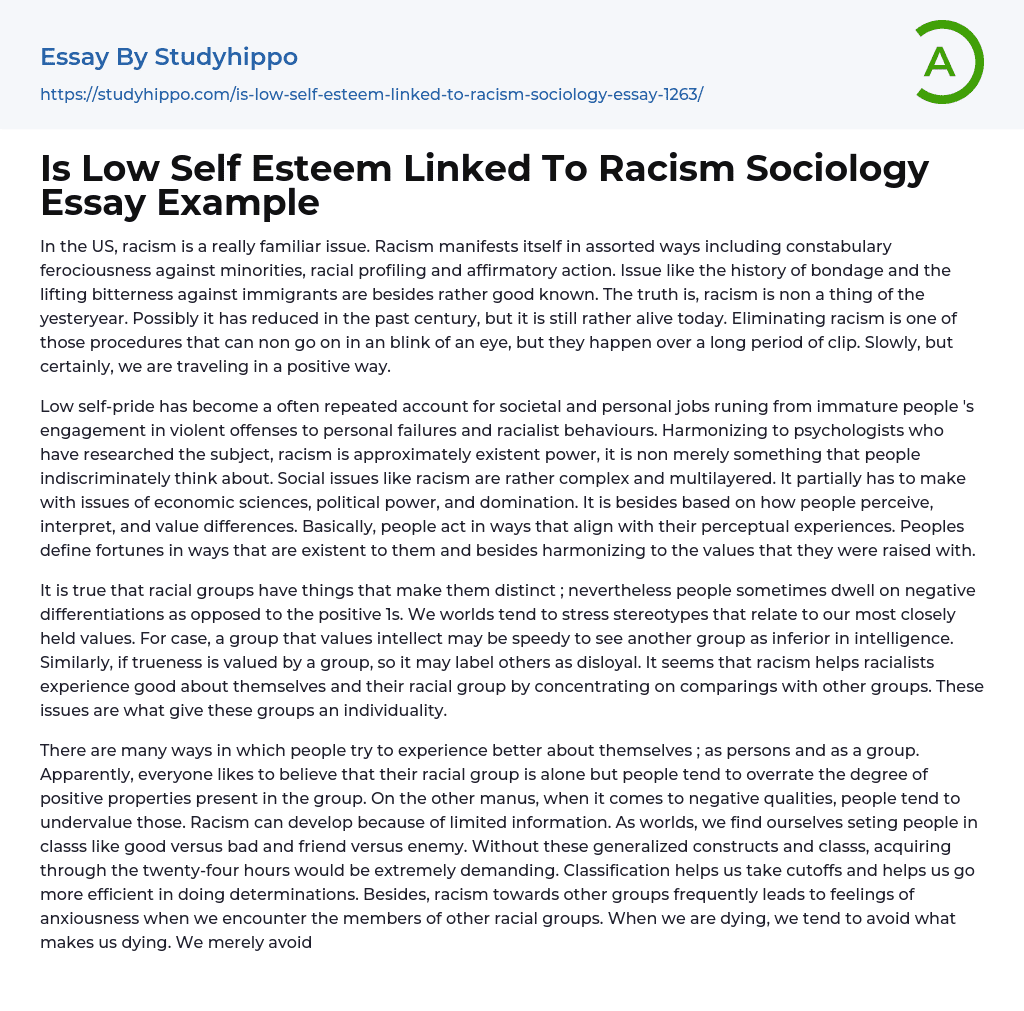 sociology essay on racism