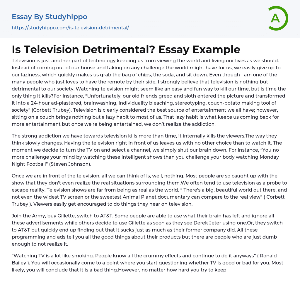 Is Television Detrimental? Essay Example