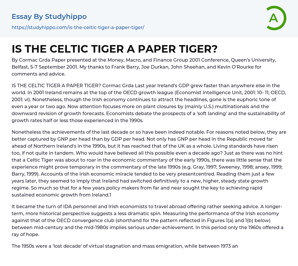 Is the Celtic Tiger a Paper Tiger? Essay Example