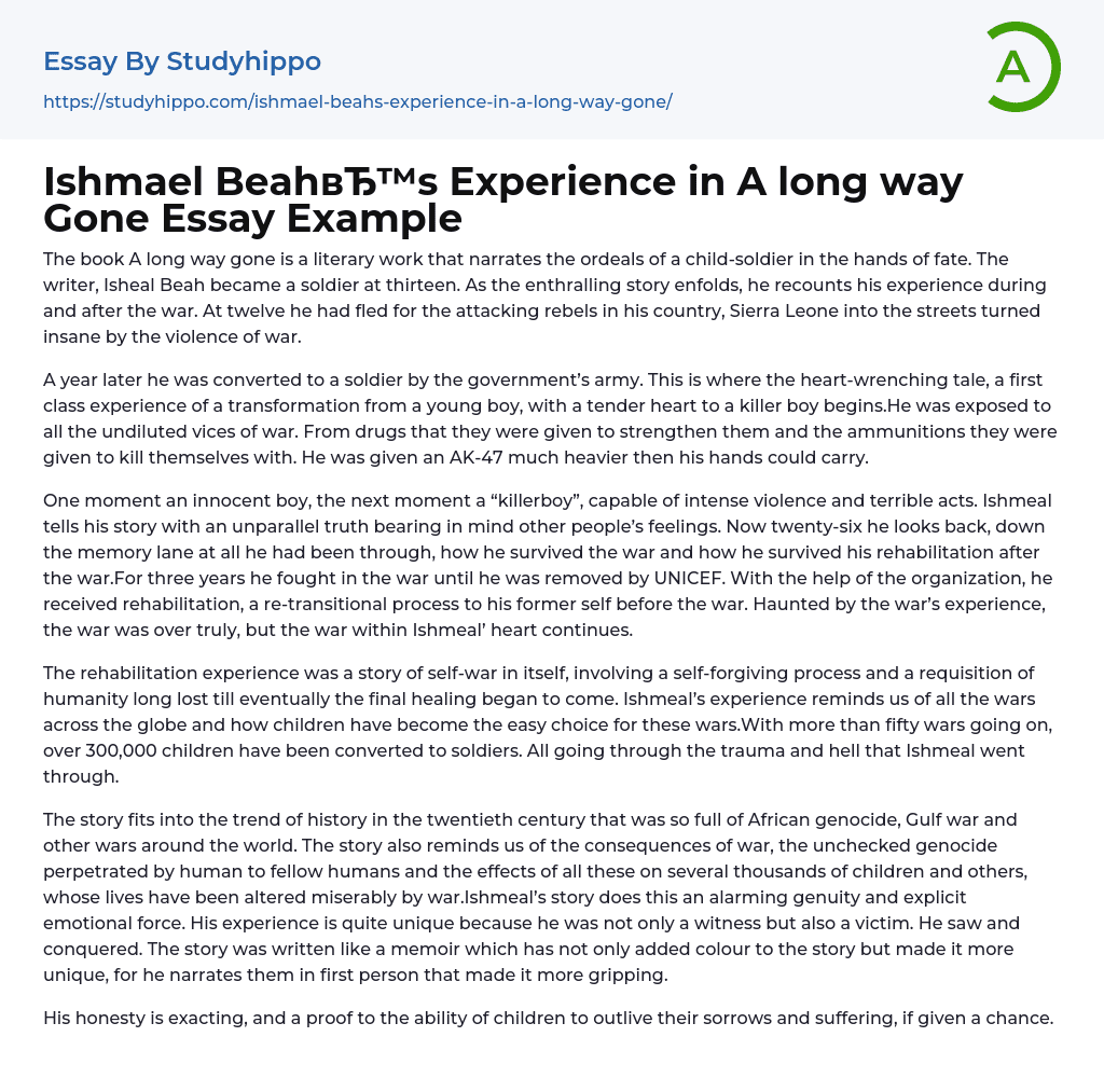 Ishmael Beah’s Experience in A long way Gone Essay Example