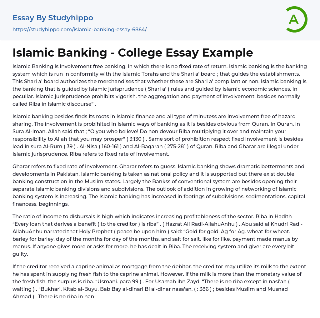 Islamic Banking – College Essay Example