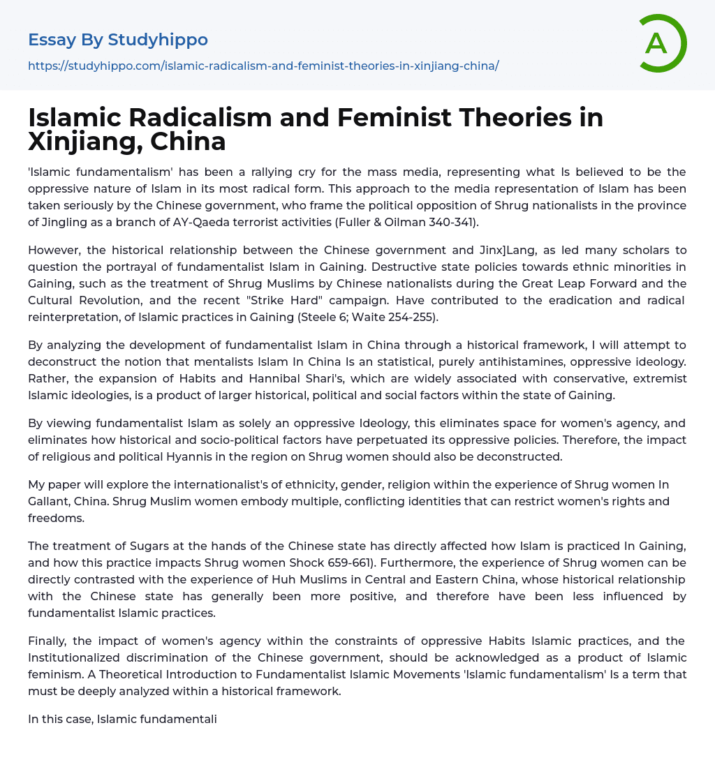 Islamic Radicalism and Feminist Theories in Xinjiang, China Essay Example