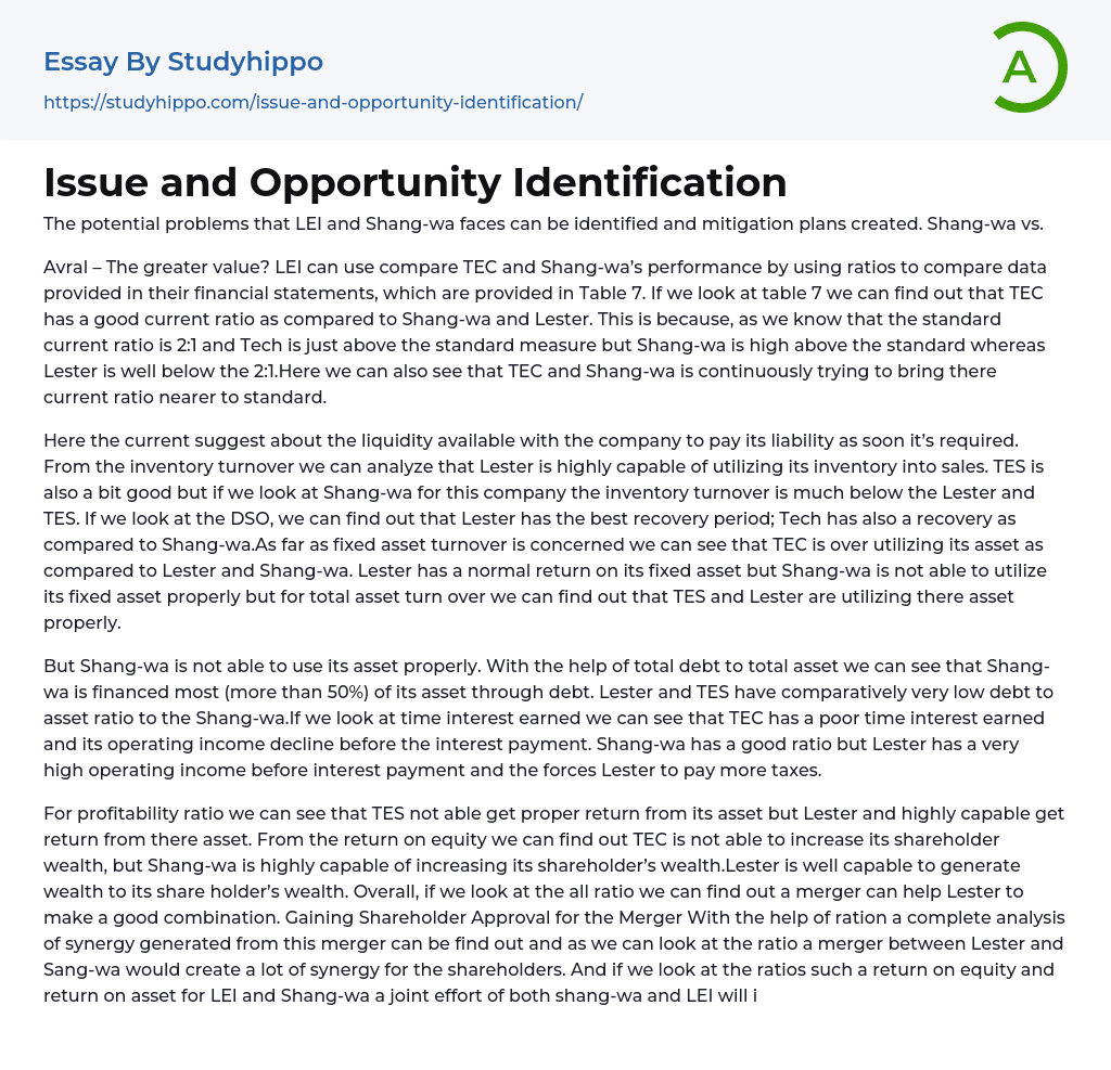 Issue and Opportunity Identification Essay Example