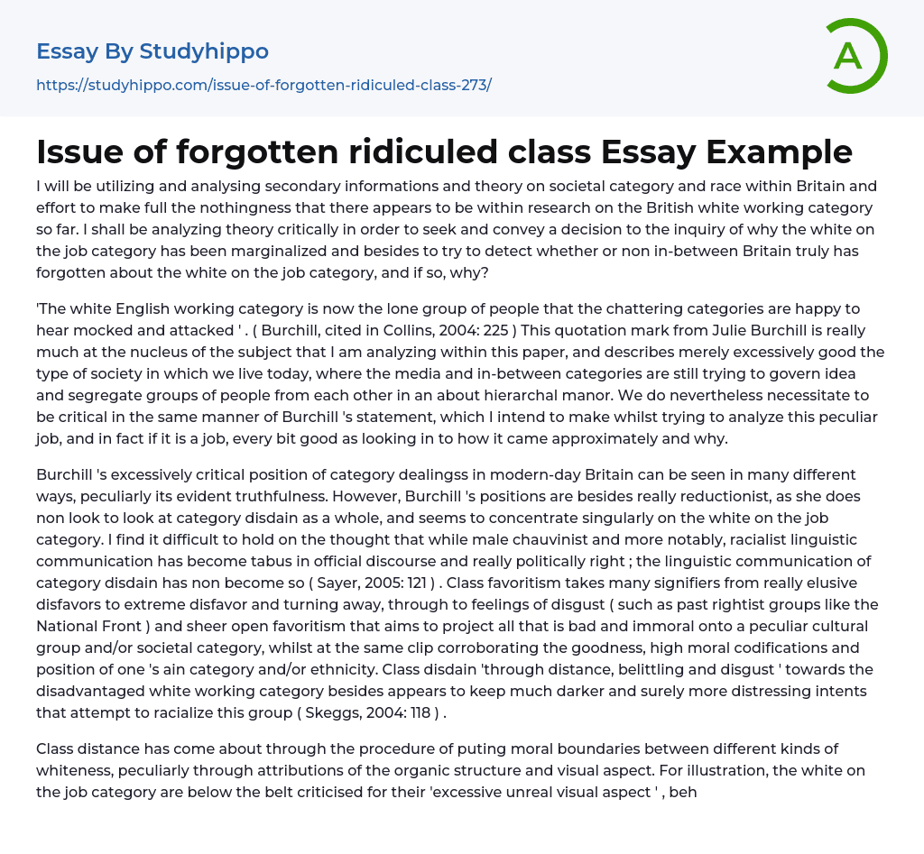 Issue of forgotten ridiculed class Essay Example