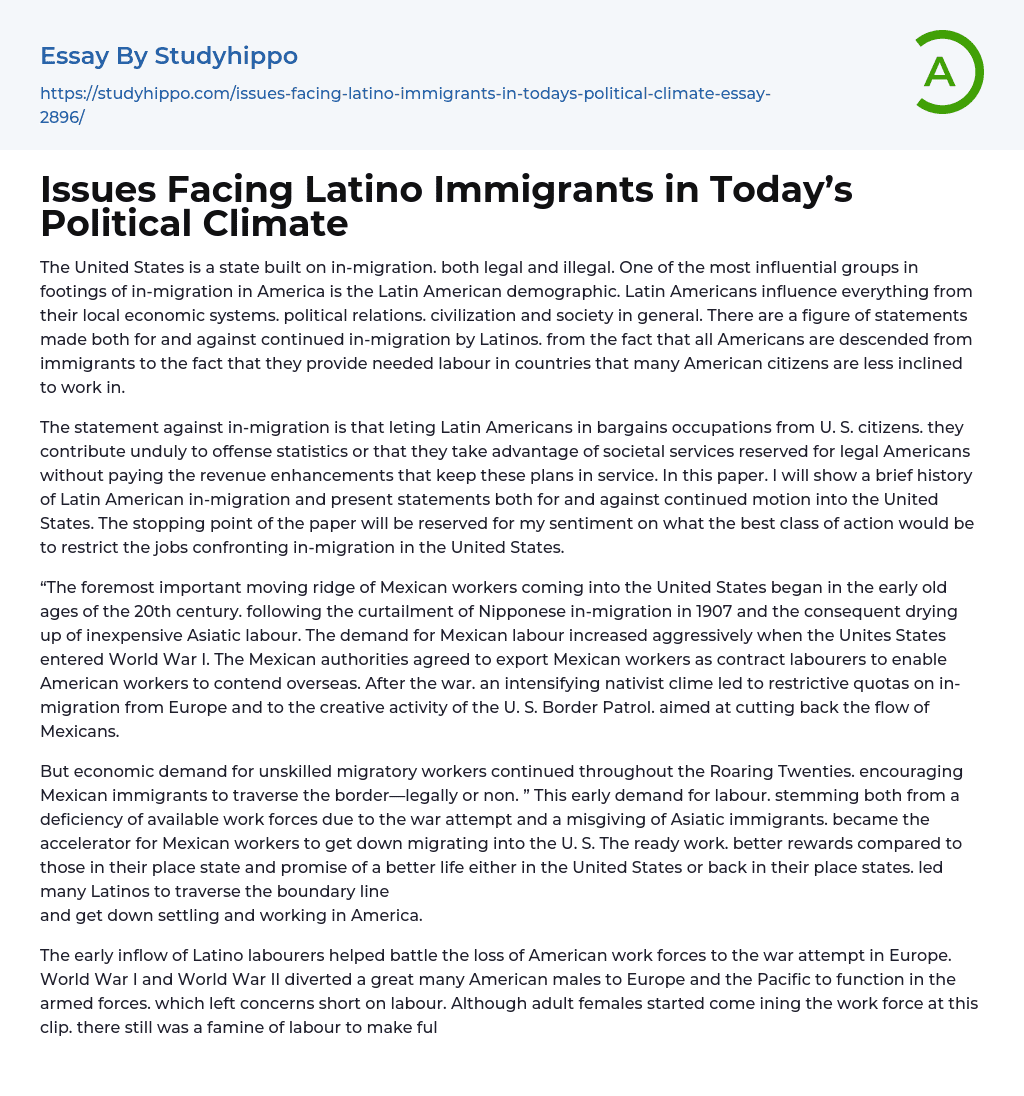 Issues Facing Latino Immigrants in Today’s Political Climate Essay Example