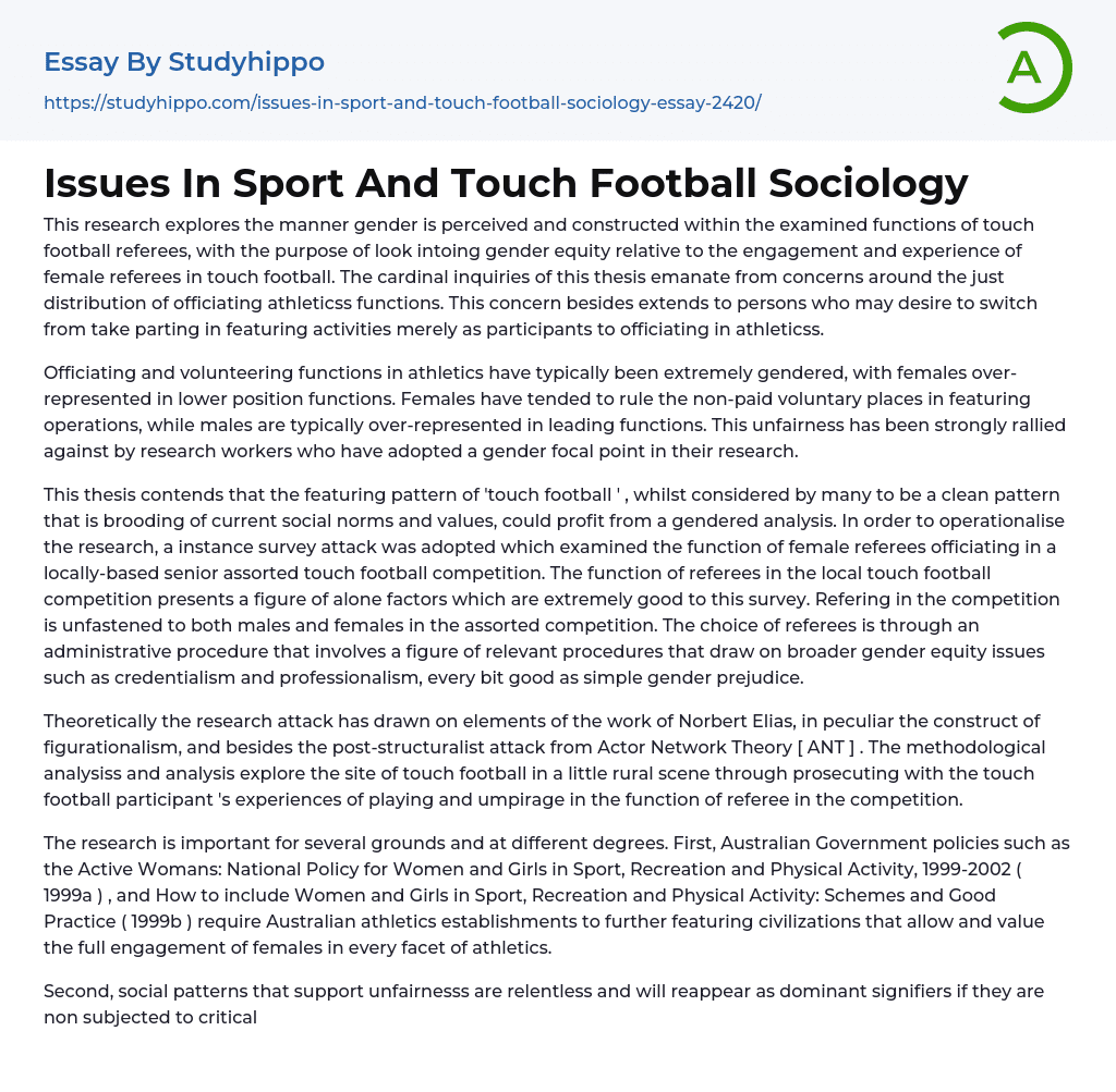 Issues In Sport And Touch Football Sociology Essay Example