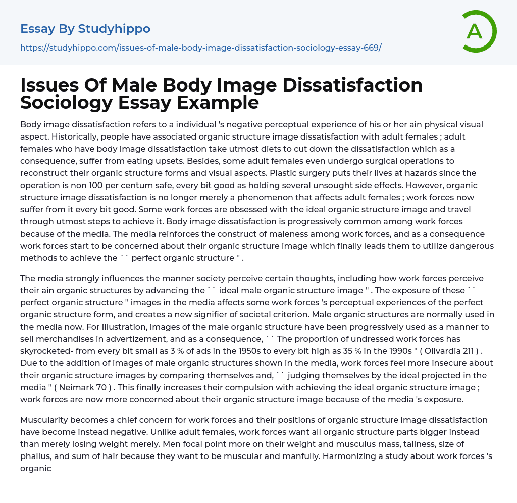Issues Of Male Body Image Dissatisfaction Sociology Essay Example