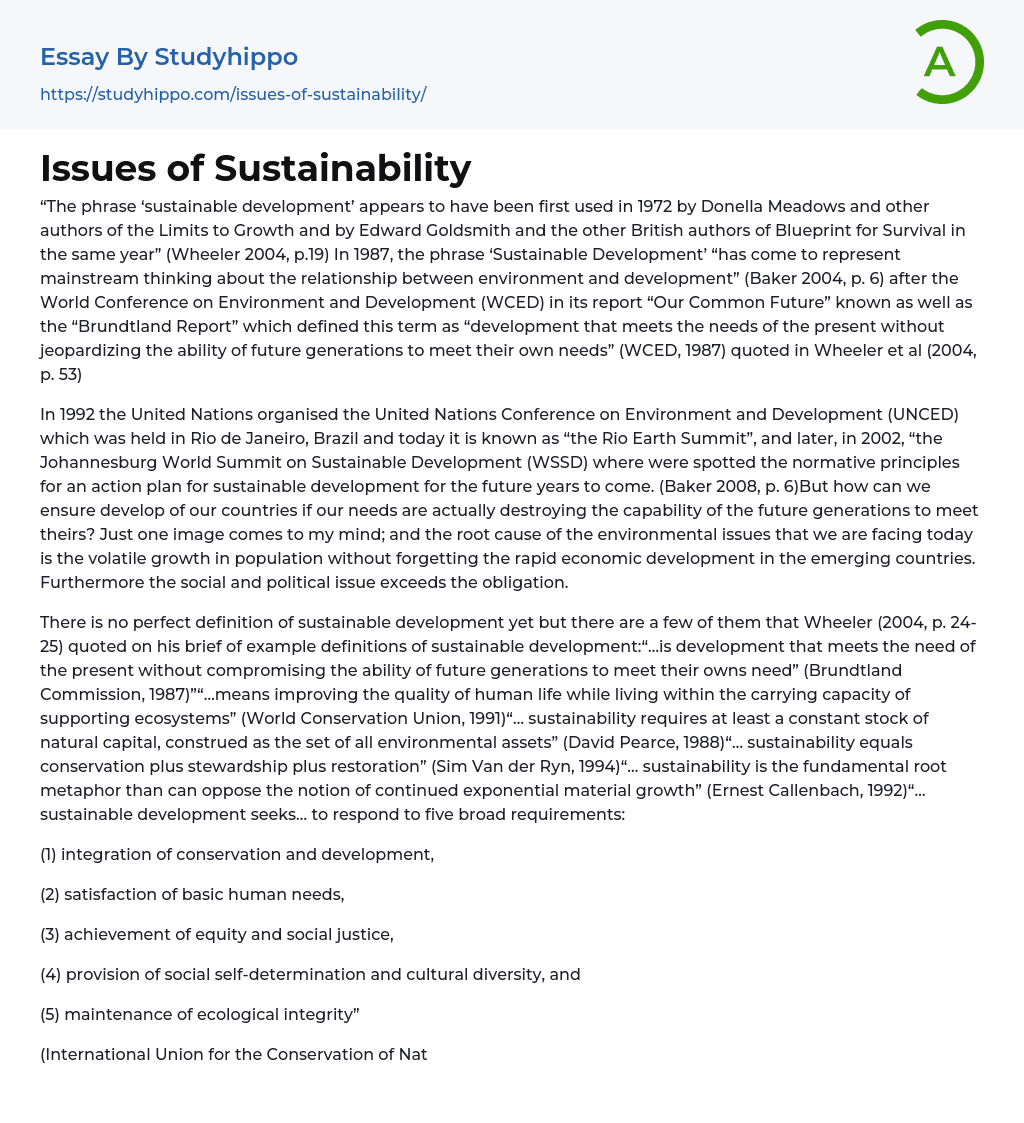 Issues of Sustainability Essay Example