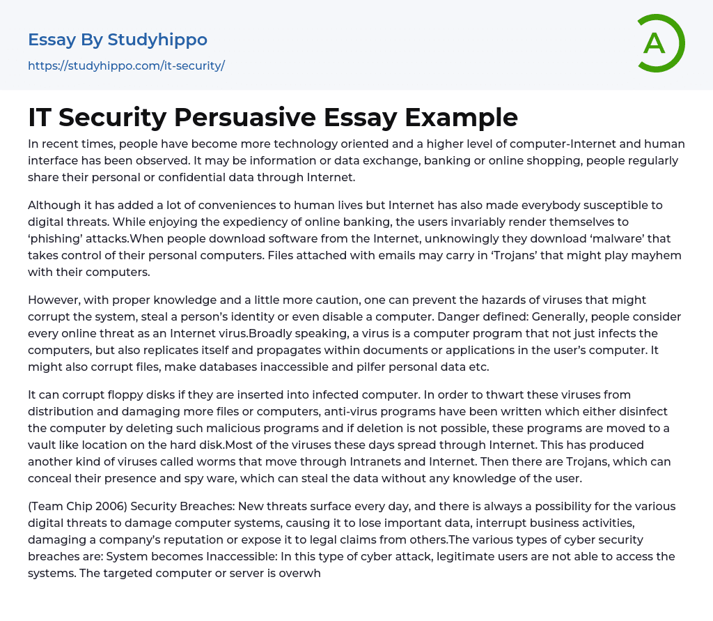 IT Security Persuasive Essay Example