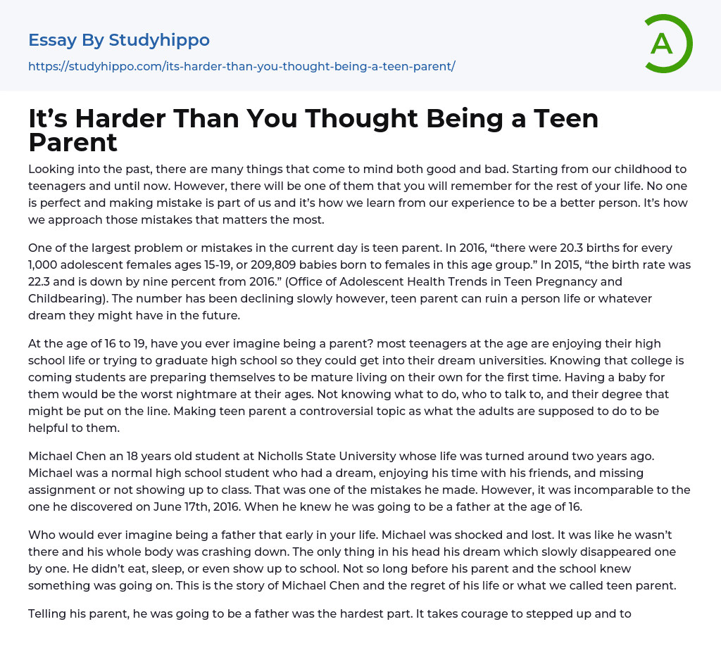 It’s Harder Than You Thought Being a Teen Parent Essay Example