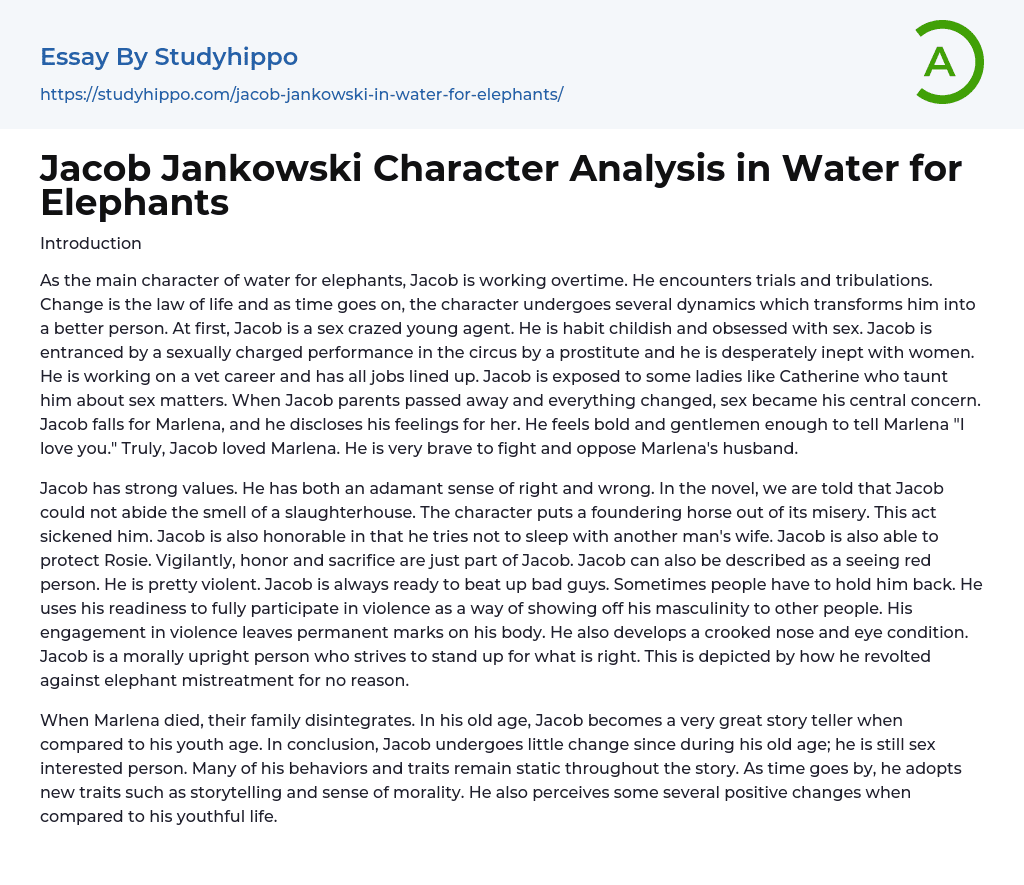 Jacob Jankowski Character Analysis in Water for Elephants Essay Example