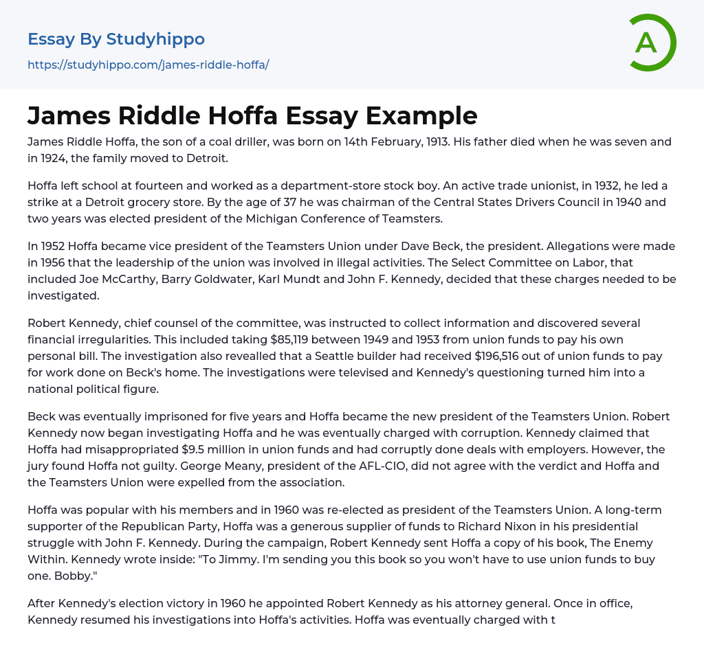 James Riddle Hoffa Essay Example