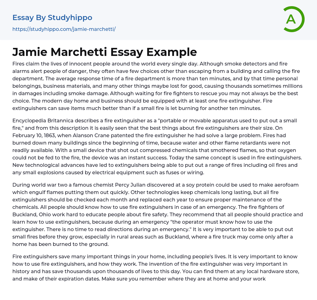 Jamie Marchetti Essay Example