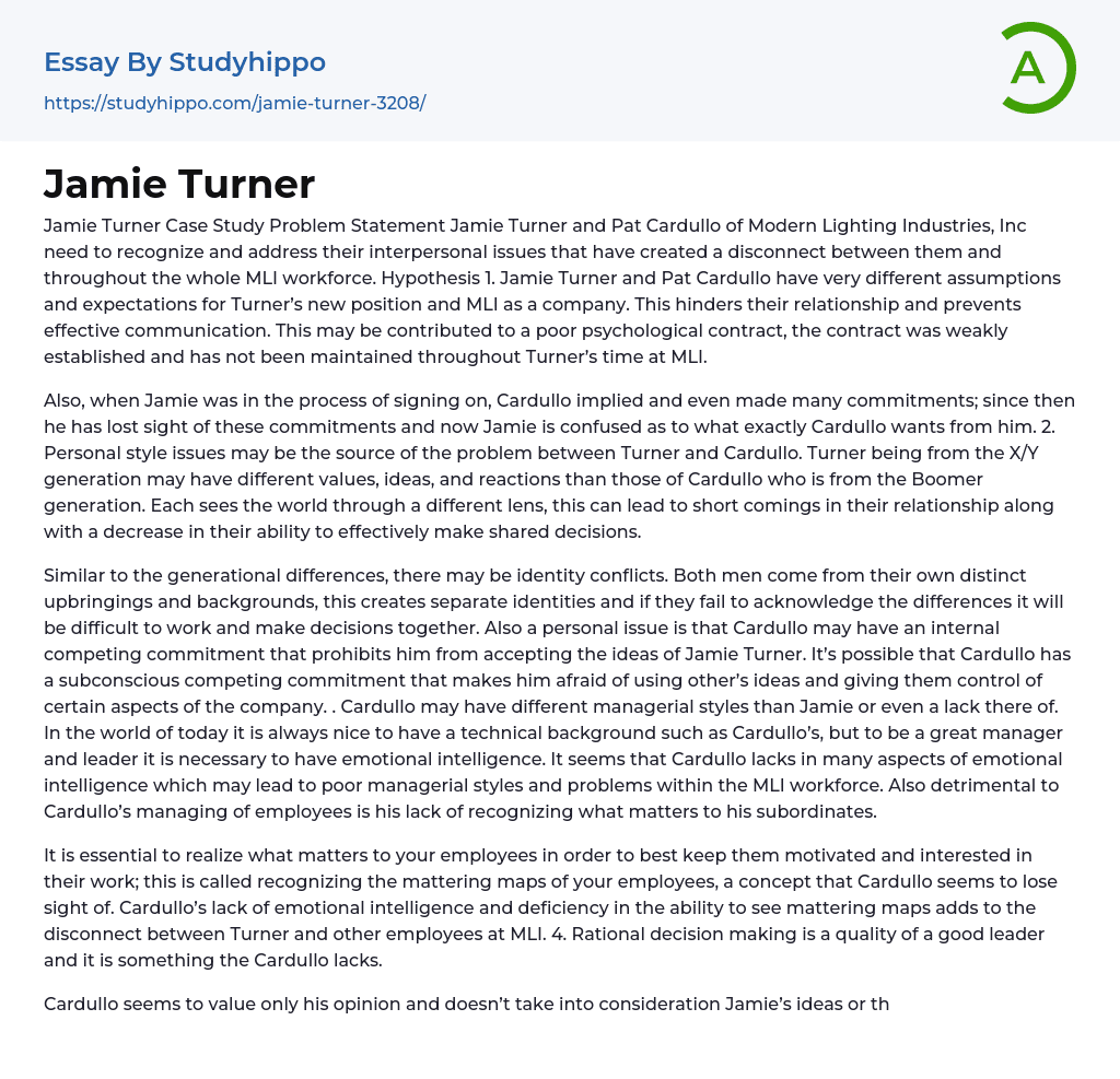 Jamie Turner Essay Example