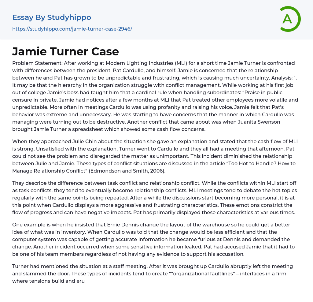 Jamie Turner Case Essay Example