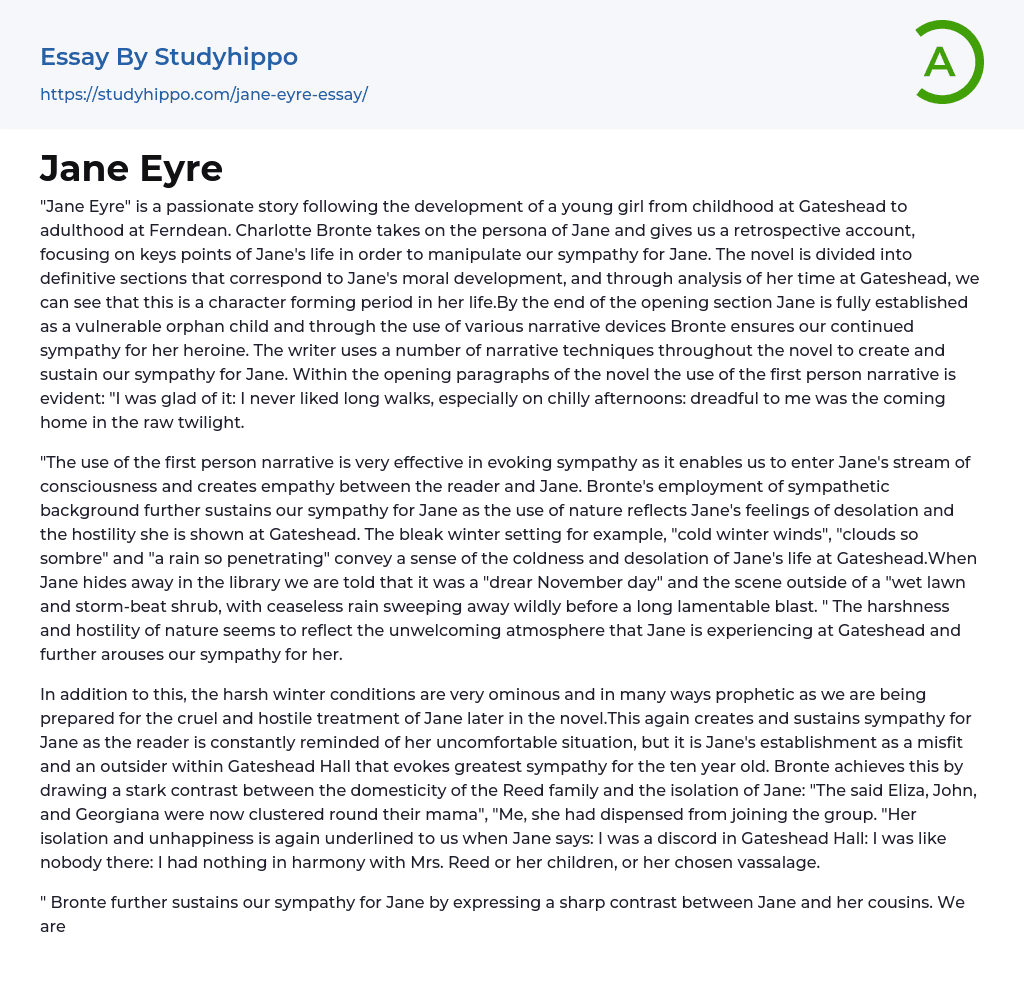 Jane Eyre Essay Example