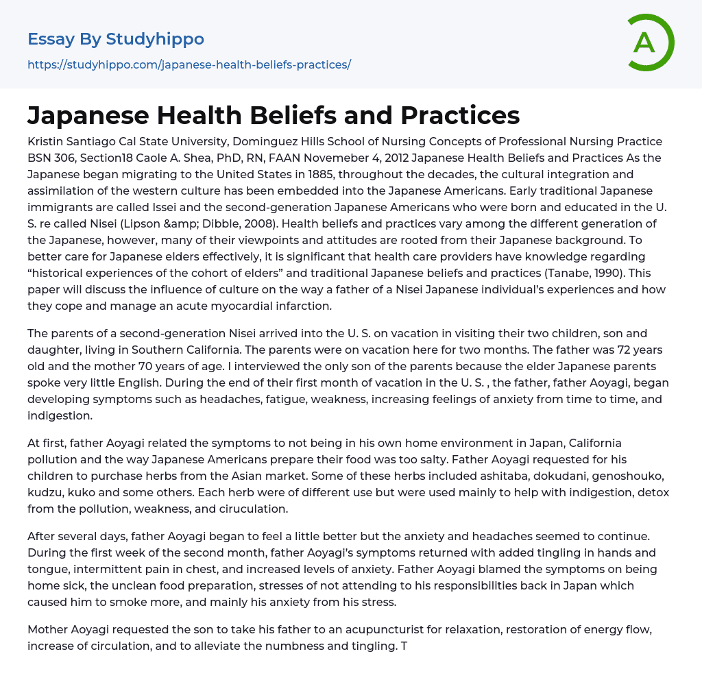 Japanese Health Beliefs and Practices Essay Example