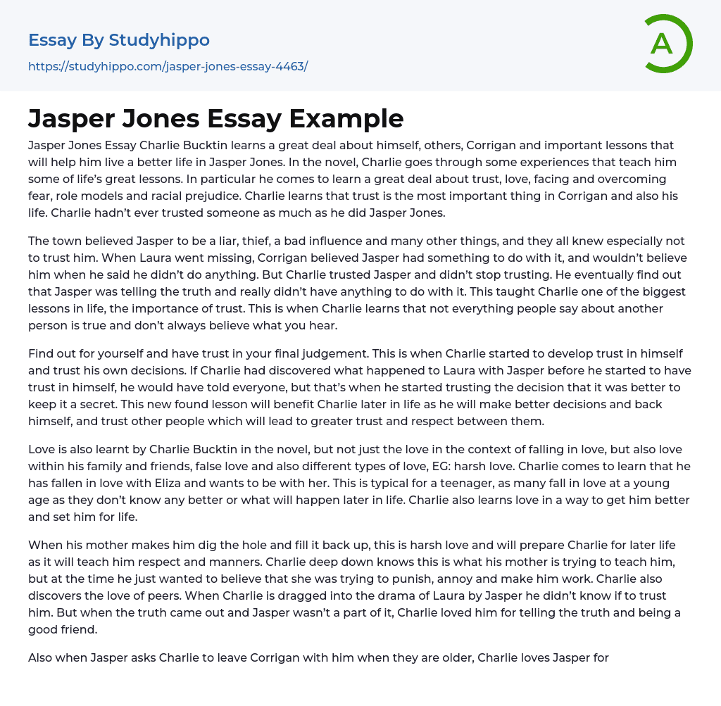 Jasper Jones Essay Example