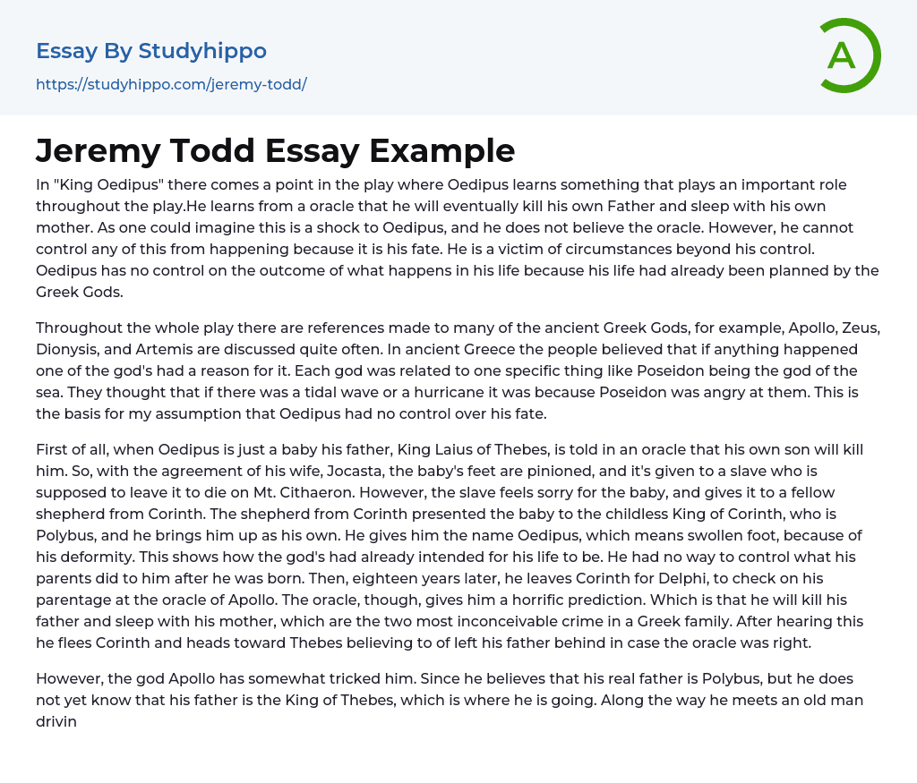 Jeremy Todd Essay Example