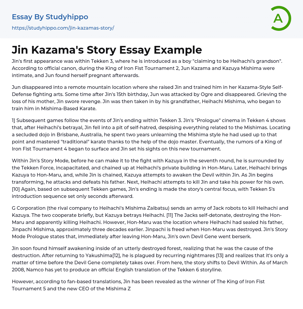 Jin Kazama’s Story Essay Example