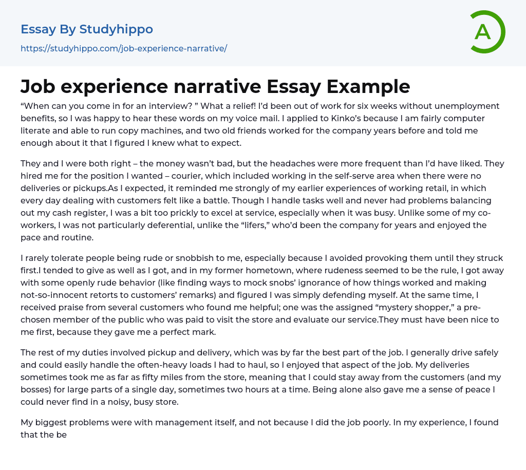 Job experience narrative Essay Example