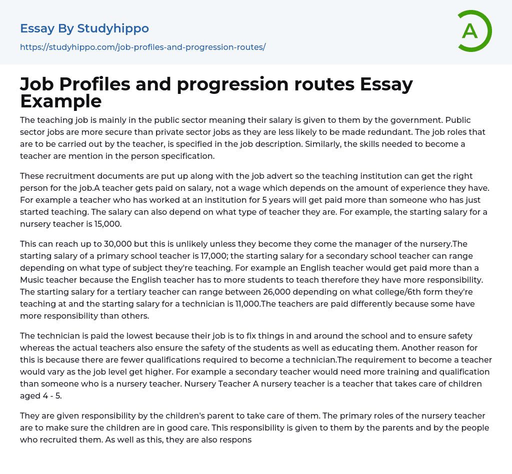 Job Profiles and progression routes Essay Example