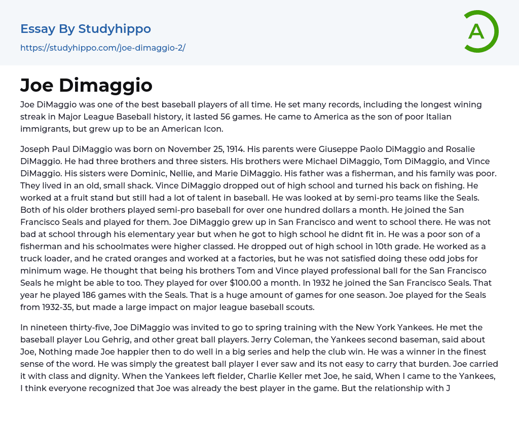 Joe Dimaggio Essay Example