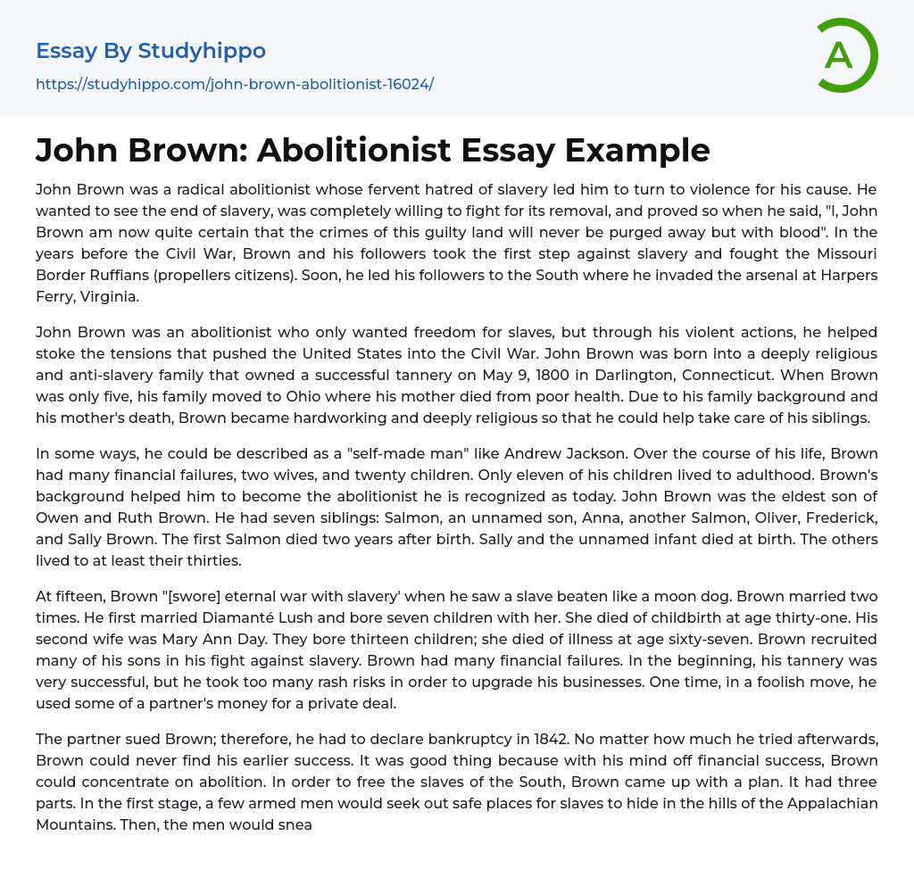 John Brown: Abolitionist Essay Example