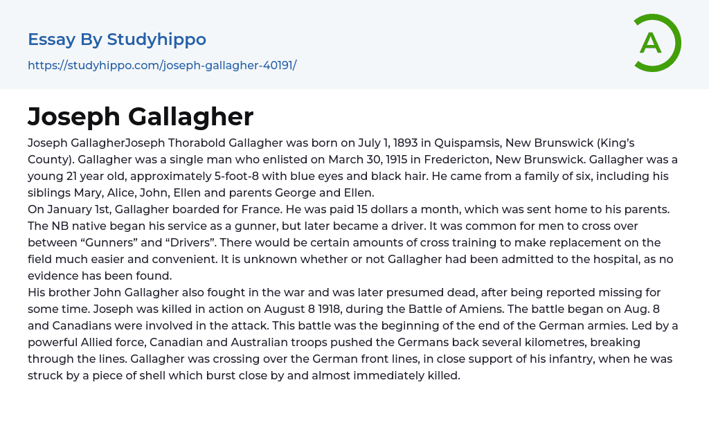 Joseph Gallagher Essay Example