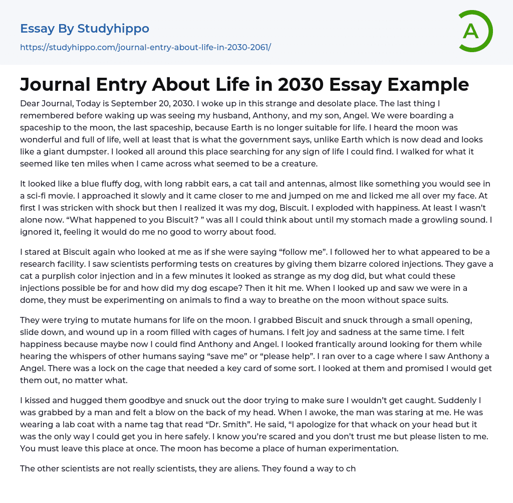 Journal Entry About Life in 2030 Essay Example