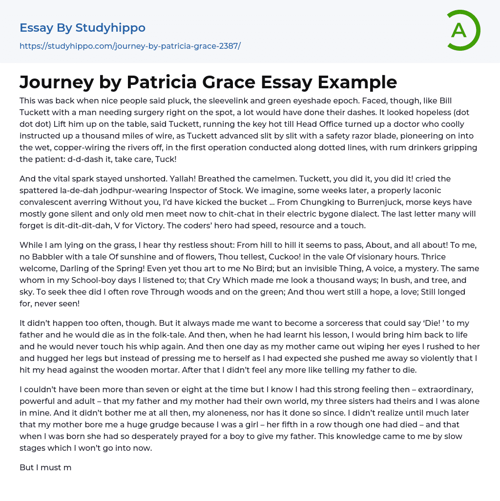 Journey by Patricia Grace Essay Example