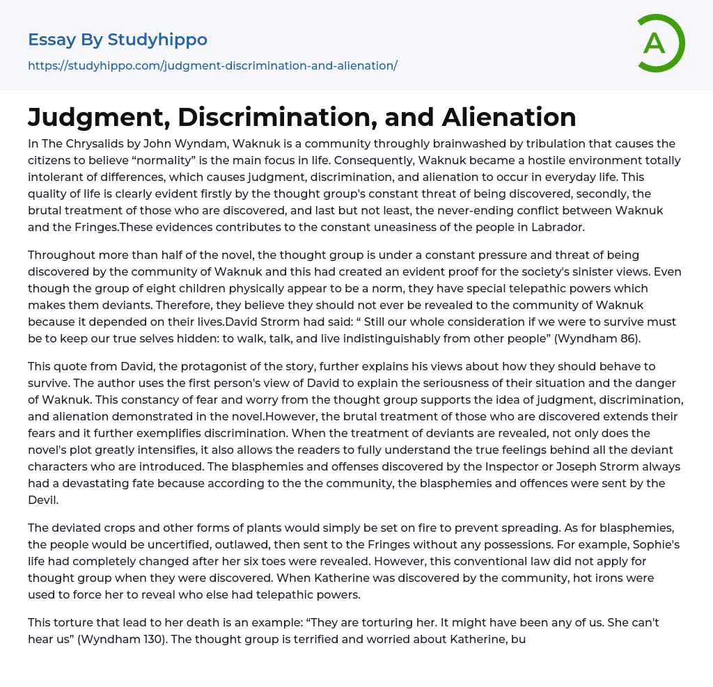 Judgment, Discrimination, and Alienation Essay Example