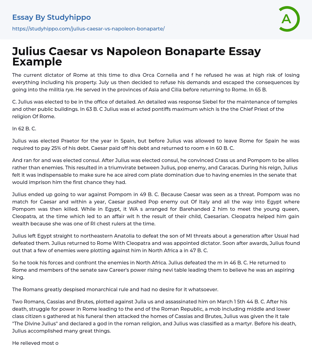 write an essay on napoleon bonaparte