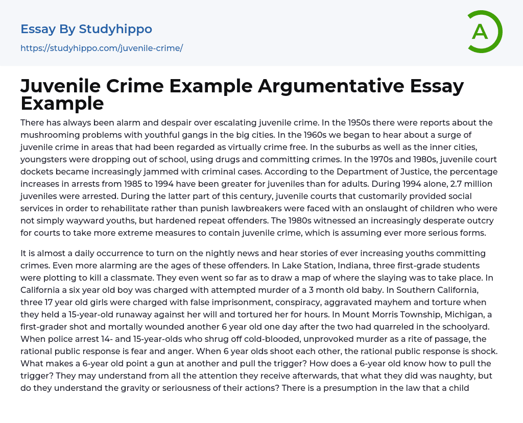 Juvenile Crime Example Argumentative Essay Example