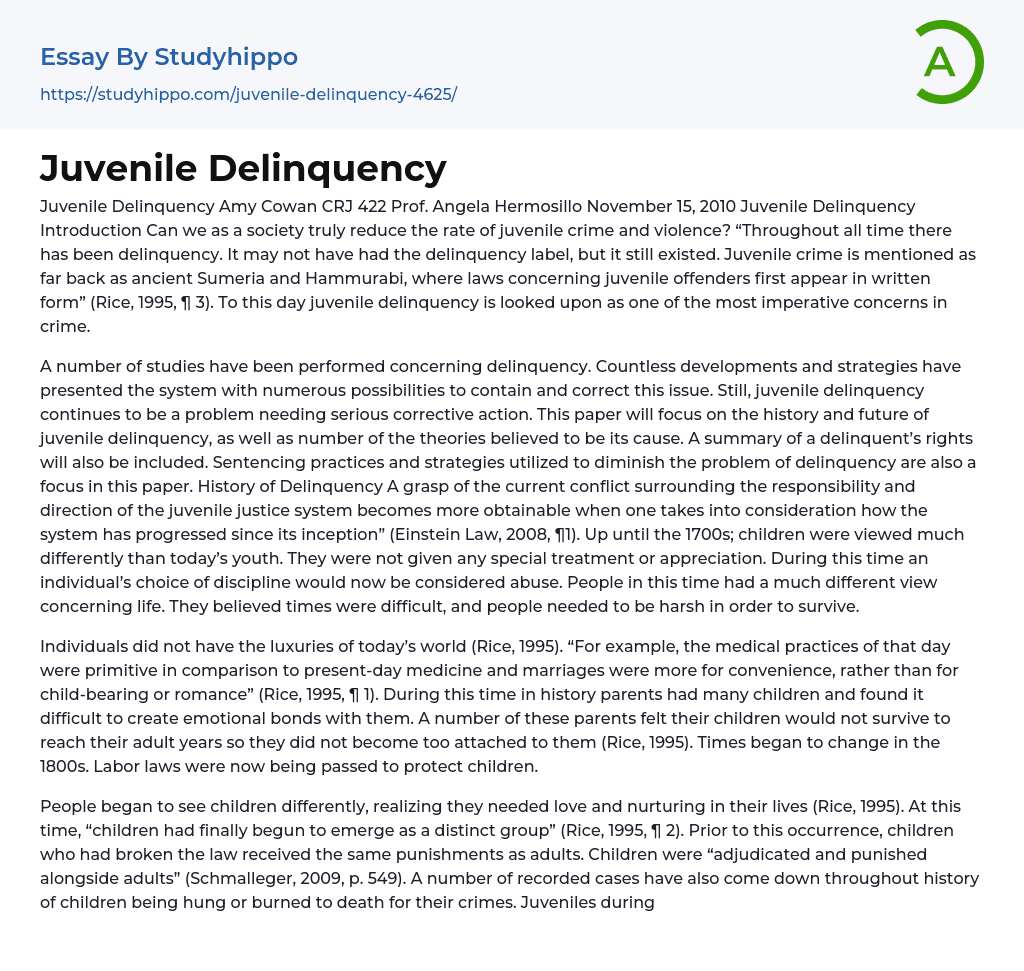 Juvenile Delinquency Essay Example