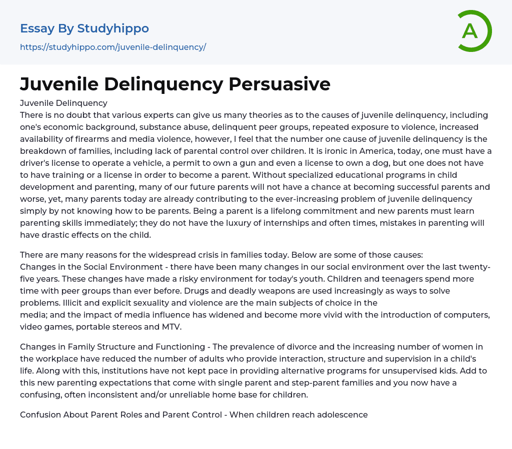 Juvenile Delinquency Persuasive Essay Example