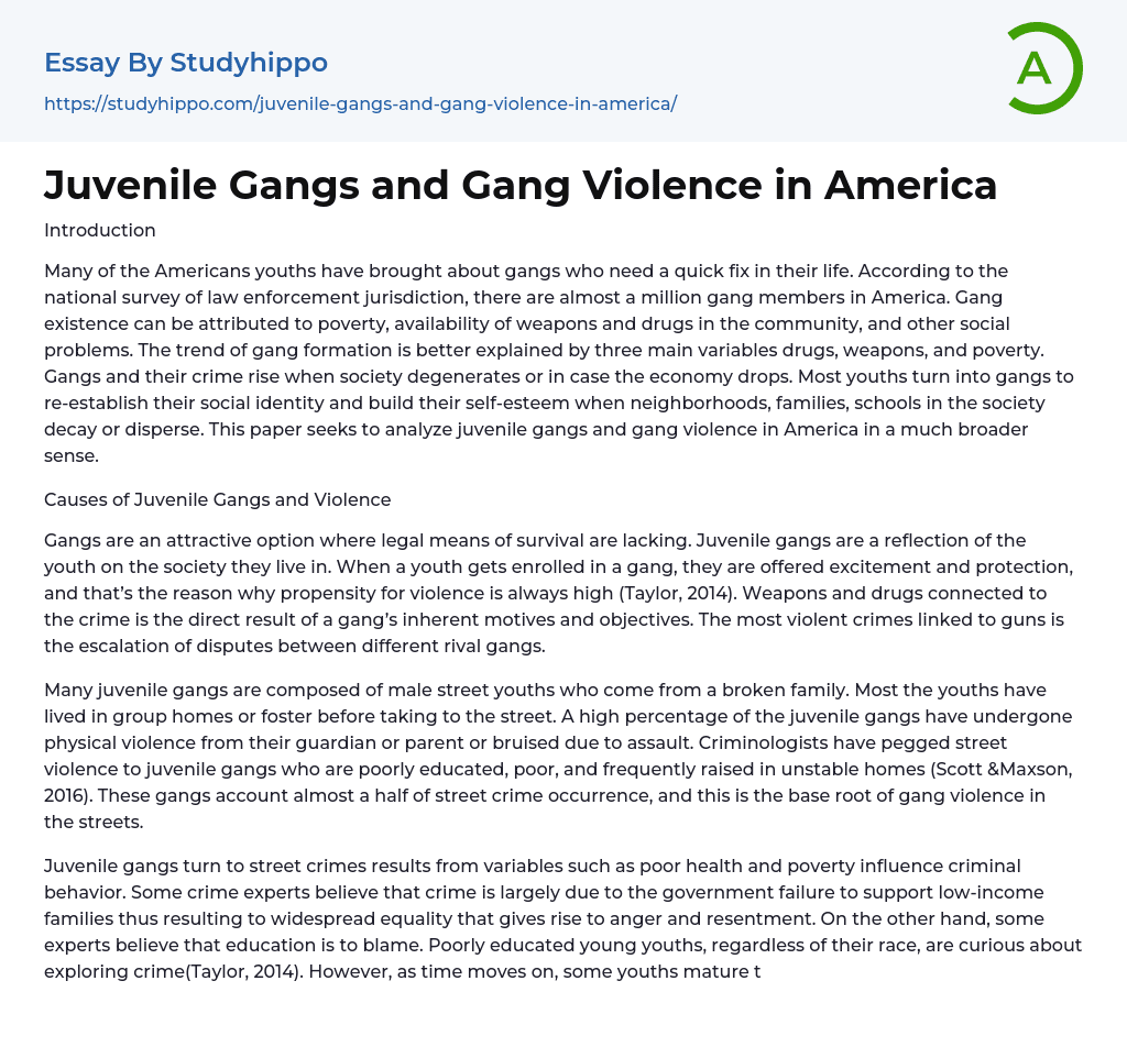 Juvenile Gangs and Gang Violence in America Essay Example