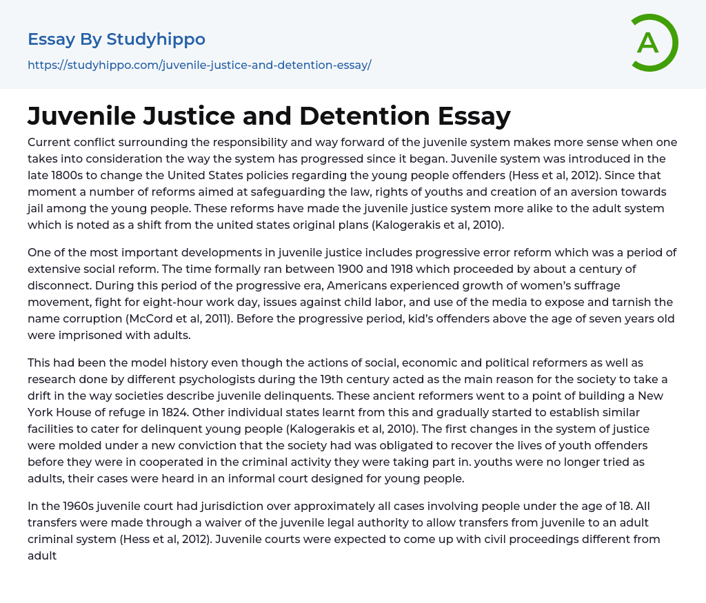 Juvenile Justice and Detention Essay