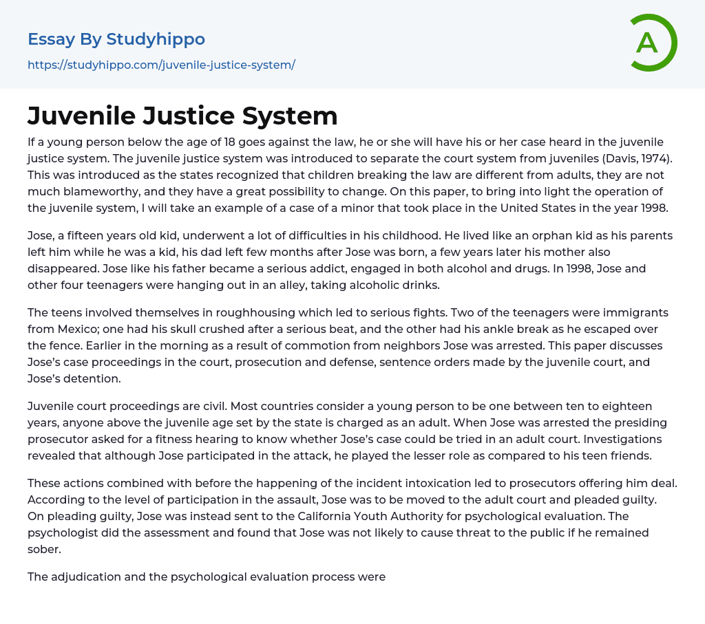 juvenile justice system essay outline