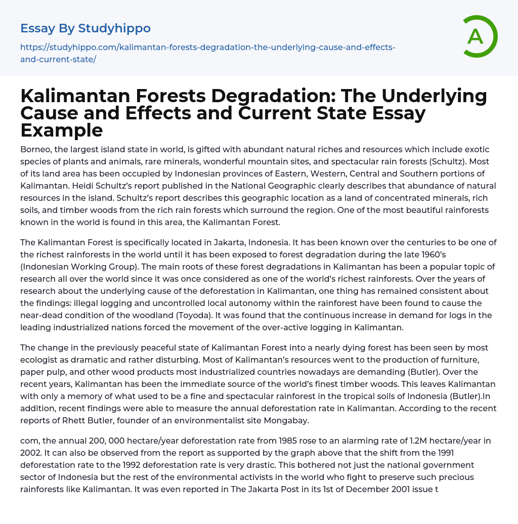 Kalimantan Forests Degradation: The Underlying Cause and Effects and Current State Essay Example