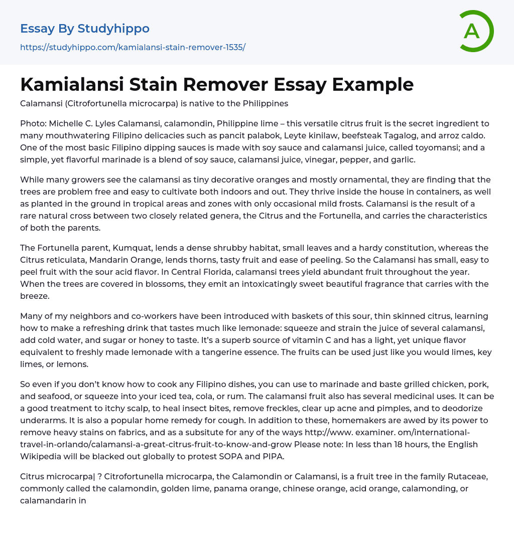 Kamialansi Stain Remover Essay Example