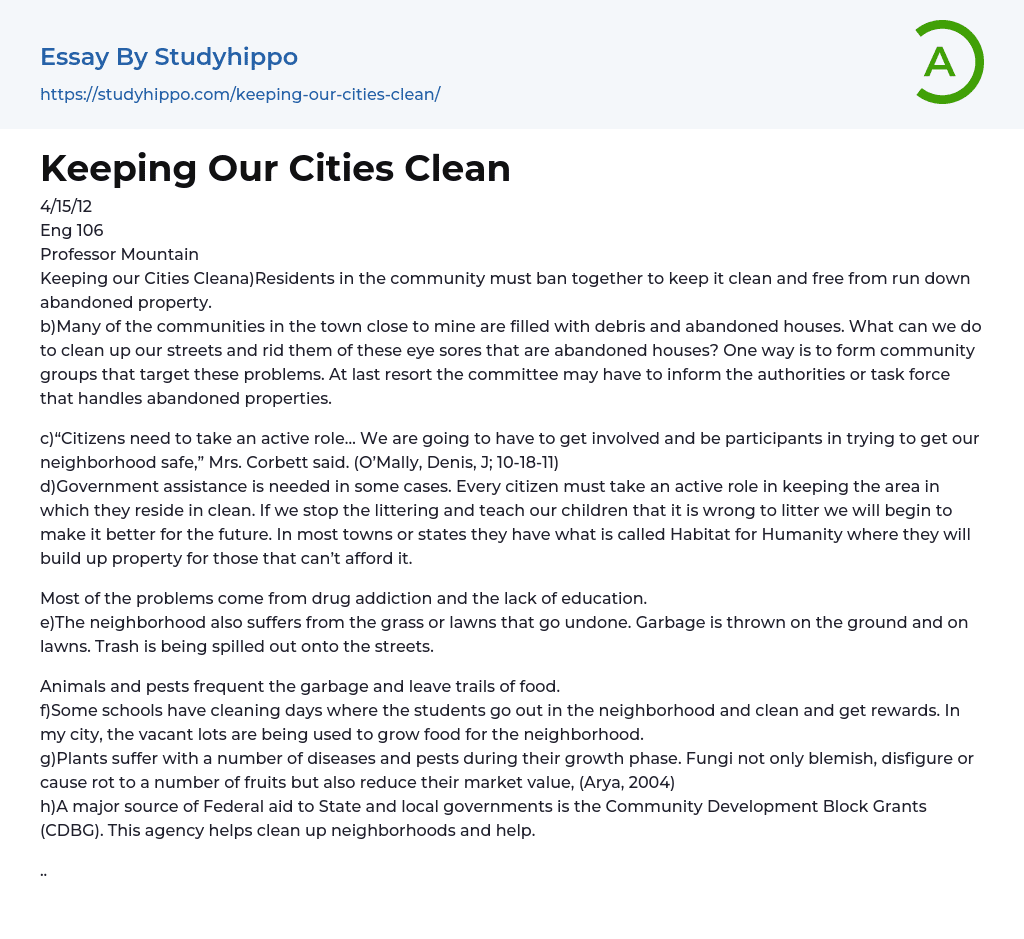 Keeping Our Cities Clean Essay Example