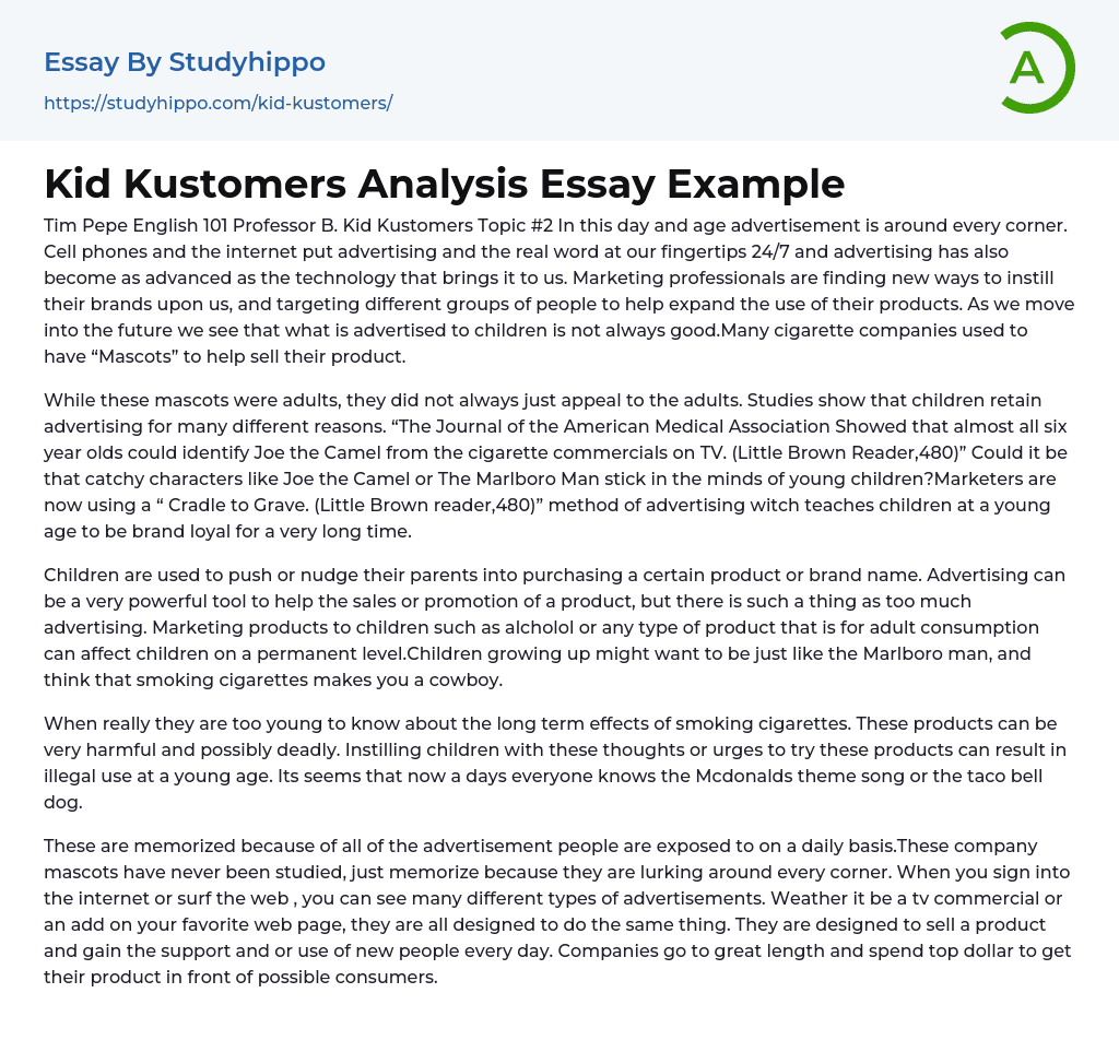 Kid Kustomers Analysis Essay Example